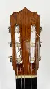 van-der-waals-classic-1966-headstock.webp