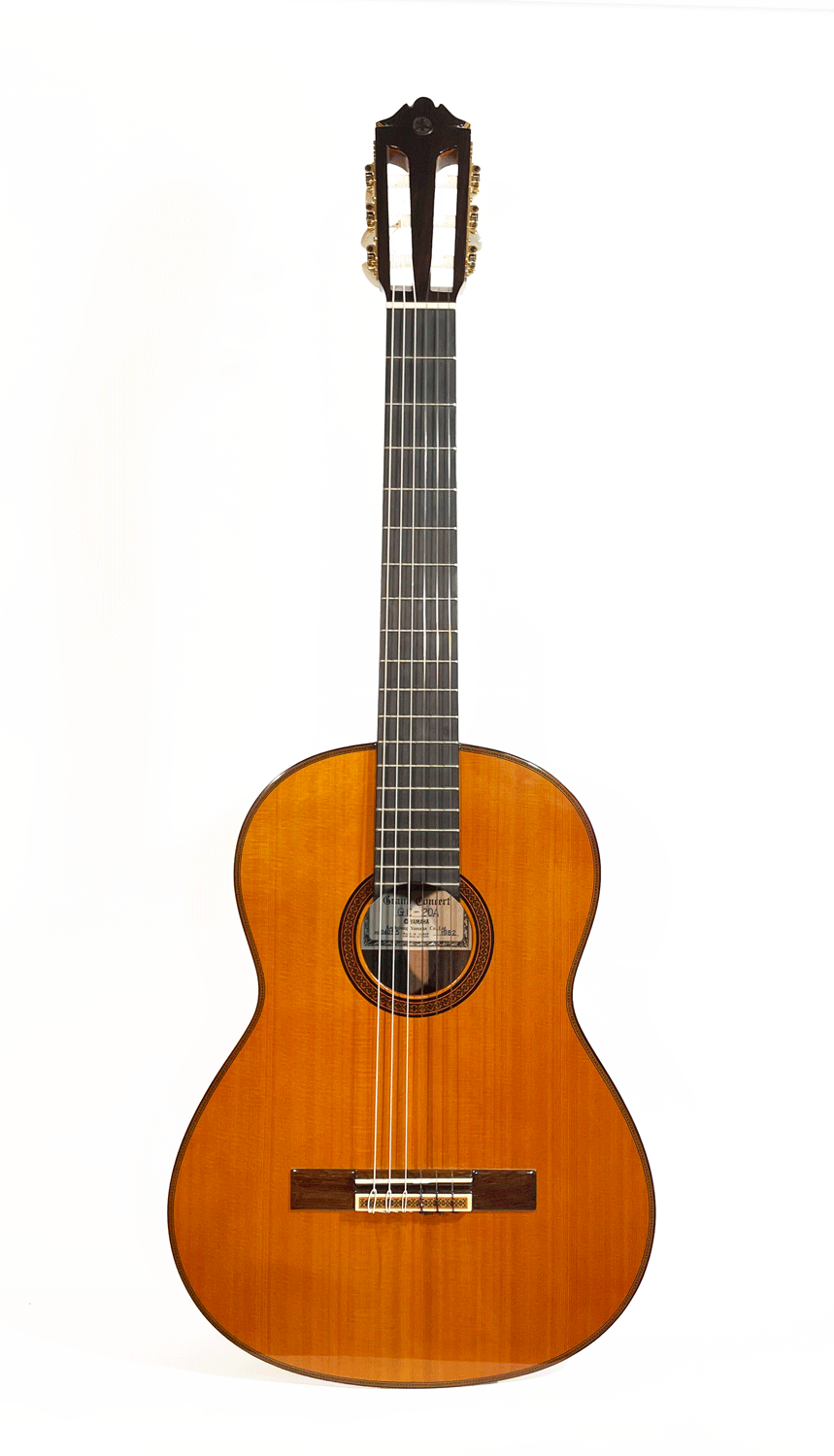Yamaha-Front-.gif
